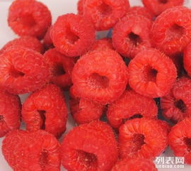 水果網(wǎng)購(gòu)首選深圳省心多鮮果速送 便捷配送，品質(zhì)生活